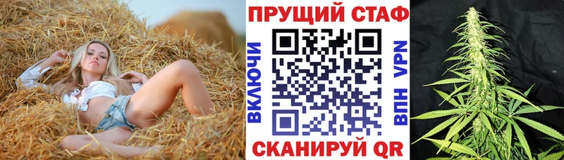 Магазины продажи наркотиков Судак Гашиш  MEGA сайт  Меф  Бошки Шишки  Alpha PVP 
