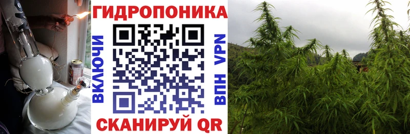 Конопля семена Судак